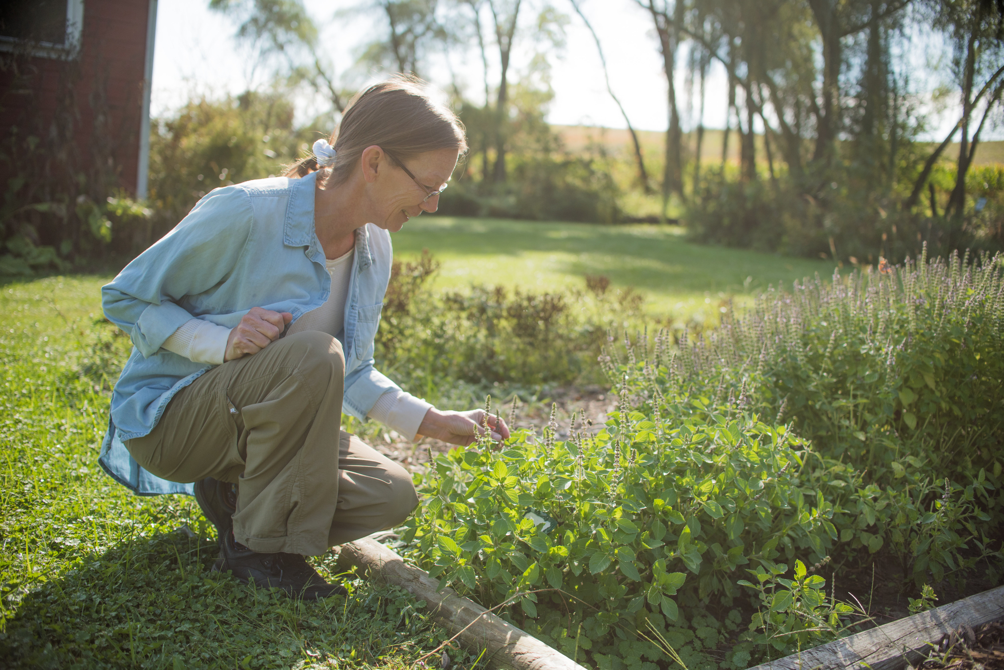 Gardens serve as living textbooks for herbalist educator | Center For ...