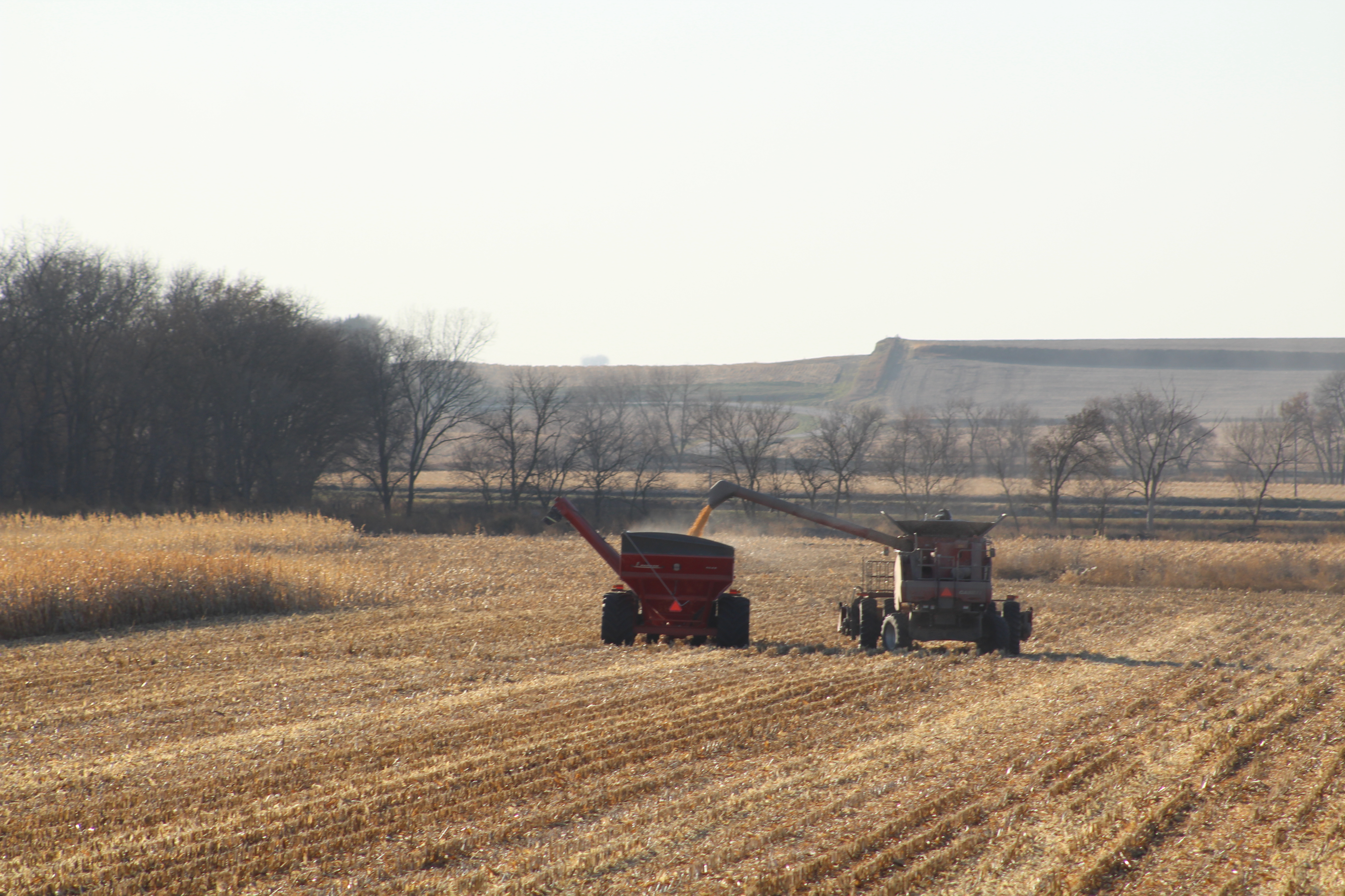 Crop Insurance | Center For Rural Affairs - Building a Better Rural Future