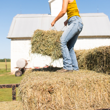 Woman working - standing on a haybale on a trailer and holding another haybale about to toss it off the side of the trailer