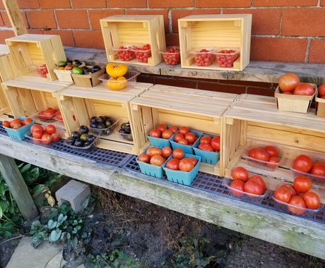 A variety of vegetables, mainly red and some yellow tomatoes sit in plastic or paper containers inside wooden crates