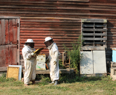 Two beekeepers looking at hive