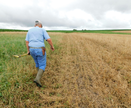 Man in jeans and a blue collared shirt walks away from the camera at the edge of a field, carrying a shovel.