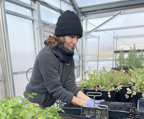 Woman in a gray fleece and black stocking cap has her hands in soil in the middle of a greenhouse. On either side of her are green plants.