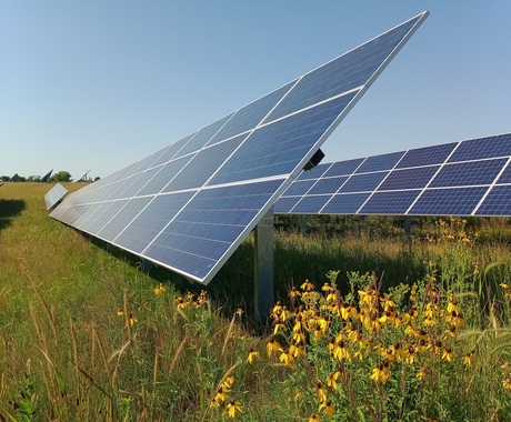 Paneles solares en un campo de hábitat amigable para los polinizadores