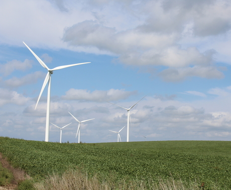 Five wind turbines standing in a green soybean field with a blue sky and gray-ish fluffy clouds