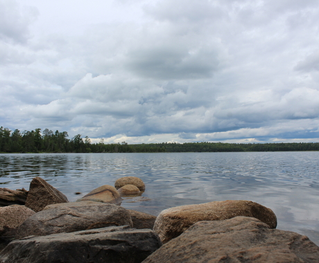 A small body of water with rocks in the foreground and trees lining the opposite shore