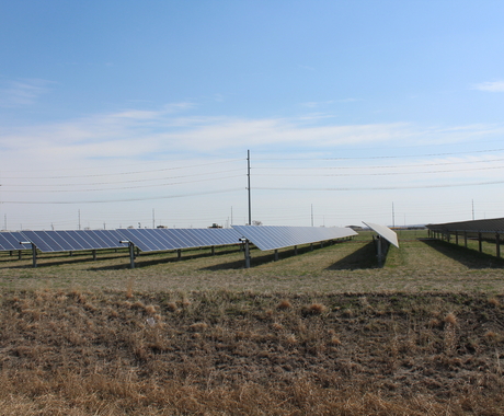 Six rows of solar panels in a grass field, in the late fall. Community solar farm.