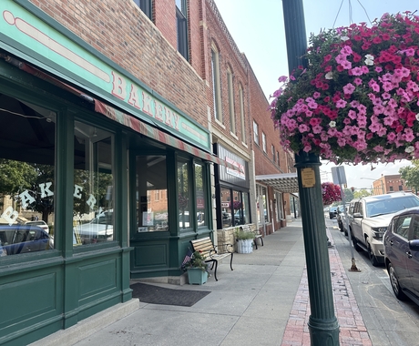 A community main street with store buildings on the left and a street lamp with a hanging pot of pink flowers and cars parked along a street on right.