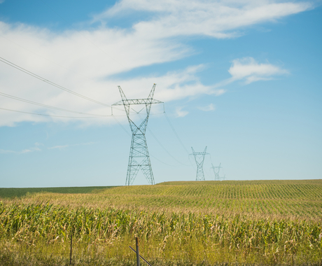 A transmission line between a corn field and a bean field. You can see four posts of the transmission line, fading into the background.