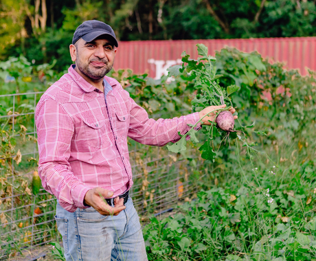 Man in a vegetable garden that is growing well, with large green plants, holding up a rutabega. Man has light brown skin, is wearing a blue ball cap, a pink plaid long-sleeved shirt, and jeans. 