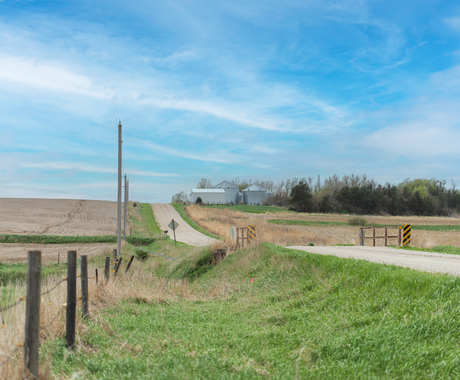 Gravel road on the right of the photo, with a fence on the left of the photo, green grass in the ditch between