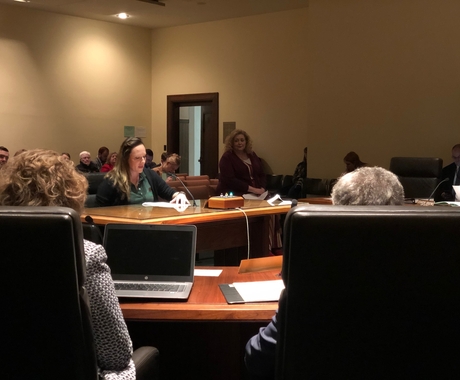 Woman testifying at state legislative hearing
