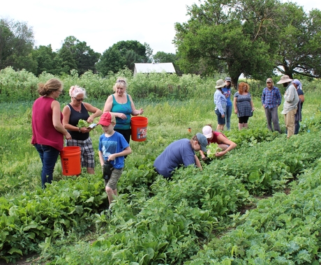 Beginning farmers in vegetable field