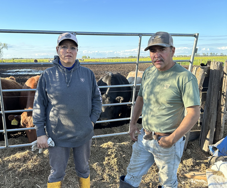 A Latino woman and man standing in front of a cattle gate with cows behind. Both individuals are wearing ballcaps, tall rubber boots, and farm working clothes with dirt.