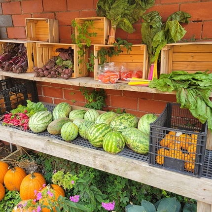 Una varietat de verdures i fruites s'asseuen a les prestatgeries contra una paret de maó vermell