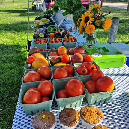 A variety of large red tomatoes in green baskets are lined up on top a table with a blue and white table cloth, some orange flowers sit in a vase on the top right hand corner next to a light green cash box