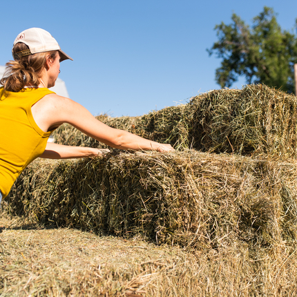 Woman dressed in a yellow tank top, jeans, and a white ball cap, reaching toward a stack of square hay bales to move it