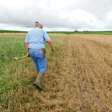 Older white male wearting a blue short sleeve top, blue jeans, and mud boots walks down a field, his back facing the camera