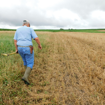 Man in jeans and a blue collared shirt walks away from the camera at the edge of a field, carrying a shovel.