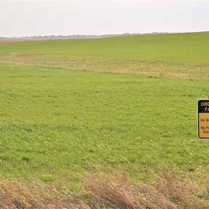 Farm field with sign saying organic farm-do not spray