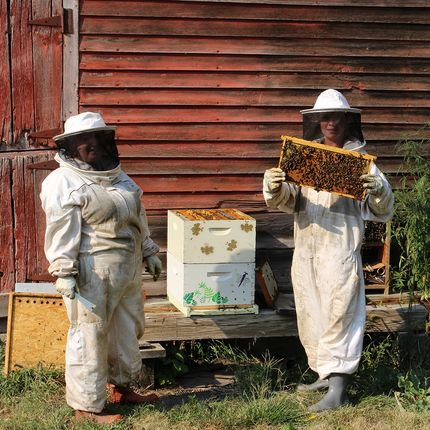 two people in bee suits with barn behind them