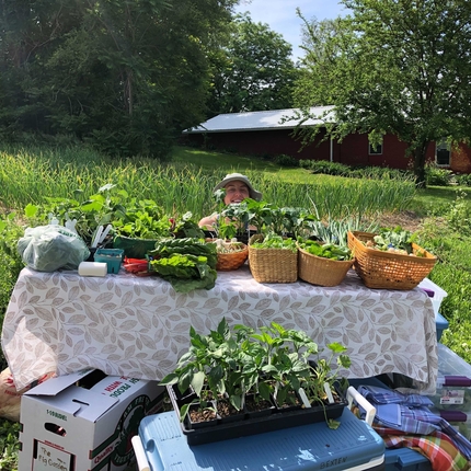 Katie Bettin mirant darrere d'una taula llarga amb una estovalla coberta i cistelles de verdures en un jardí amb una casa vermella al fons
