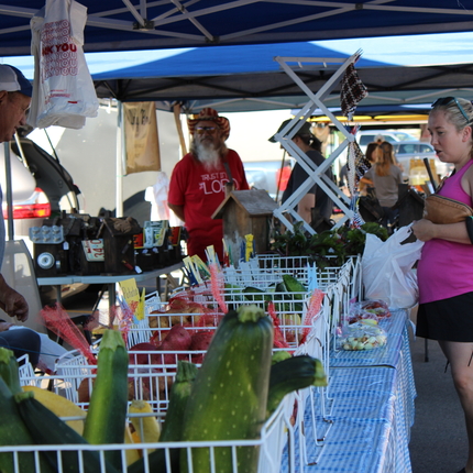 Two farmers market vendors behind their booths, in the forefront is a table with zucchini. A woman in a pink tank top is holding a wallet and a plastic bag.