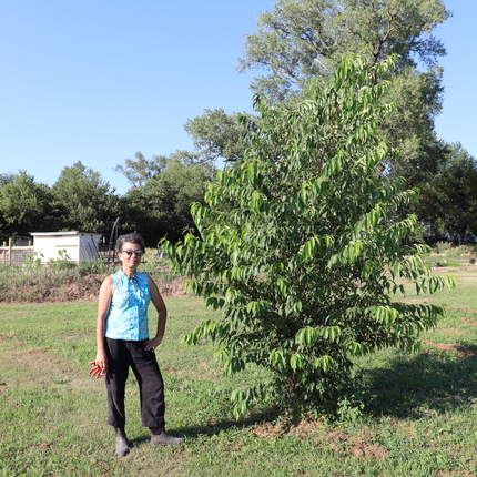 Patricia Pinto es troba al costat d'un petit arbre a la seva granja