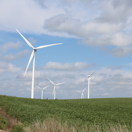 Cinc aerogeneradors dempeus en un camp de soja verda amb un cel blau i núvols grisos i esponjosos