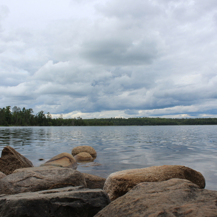 A small body of water with rocks in the foreground and trees lining the opposite shore