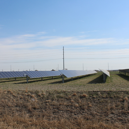 Sis files de plaques solars en un camp de gespa, a finals de tardor. Granja solar comunitària.