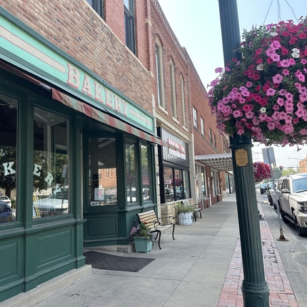 A community main street with store buildings on the left and a street lamp with a hanging pot of pink flowers and cars parked along a street on right.