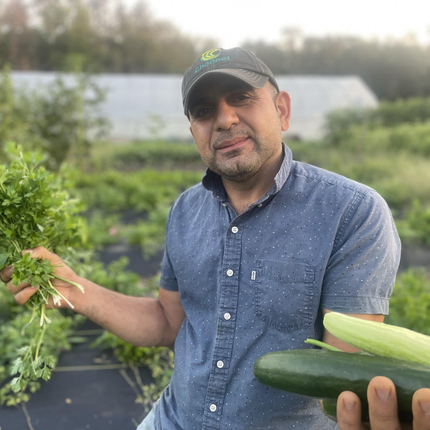 Man in a vegetable garden that is growing well, with large green plants, holding cilantro in one hand and zucchinis in the other. Man has light brown skin, is wearing a gray ball cap and a blue short-sleeved button-up shirt.