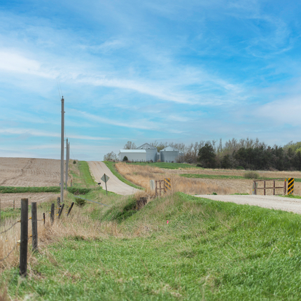 Gravel road on the right of the photo, with a fence on the left of the photo, green grass in the ditch between