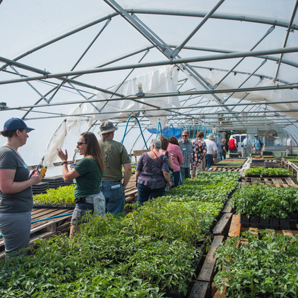 Farm tour inside greenhouse