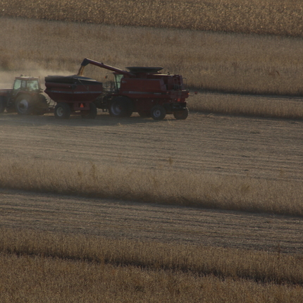 Combine and grain cart during harvest