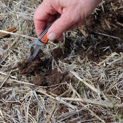 Pocket knife exposing roots of cover crops