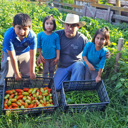 Justino Borja i nens al jardí