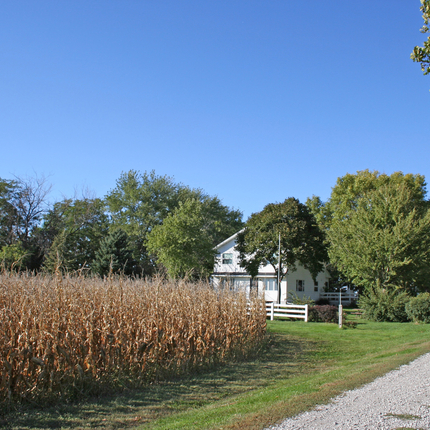 Rural home with corn field in front