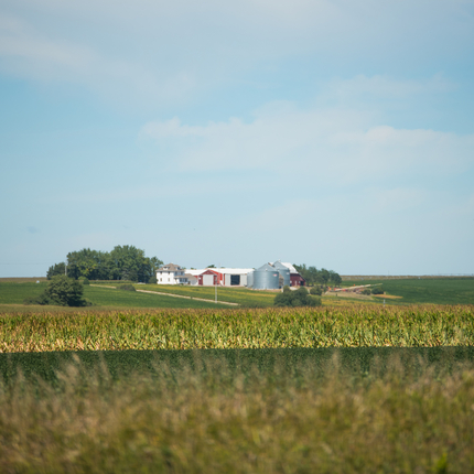 Rural farm place with corn in forefront