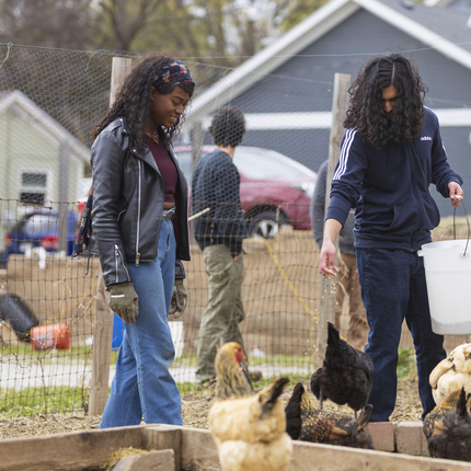 Farmer cultivates deeper connection to the earth through conservation ...