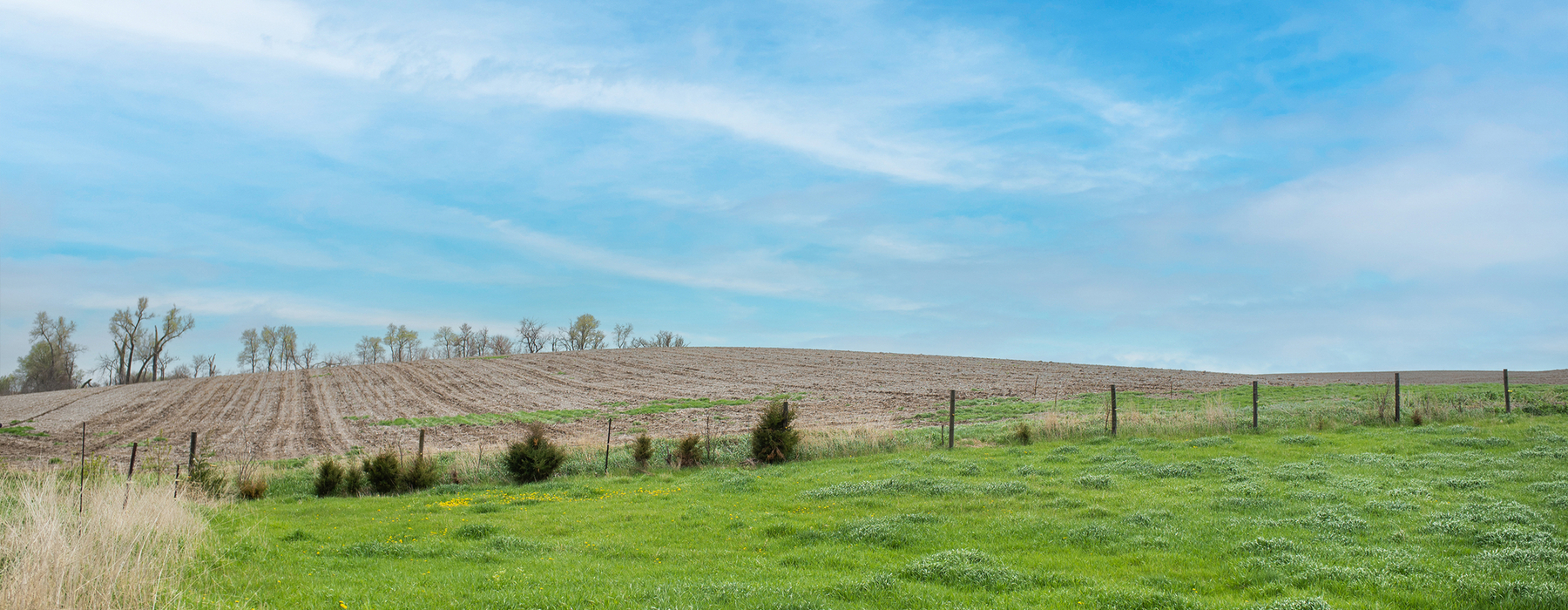 Blue sky, row crop field in the background with a green pasture in the foreground with a fence down the middle