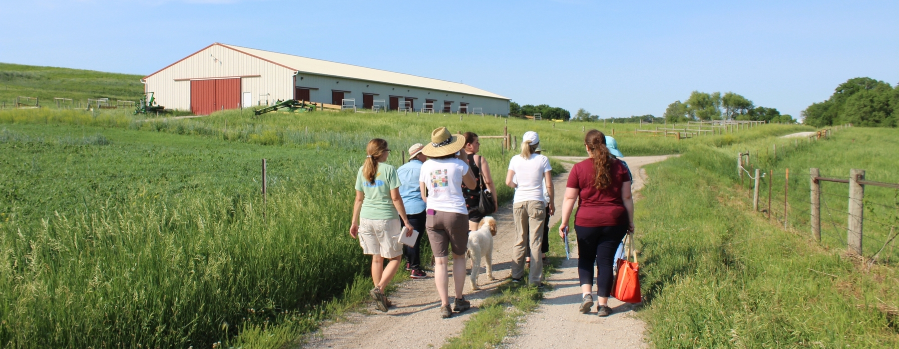 Dones propietàries de terrenys que caminen pel camí de la granja